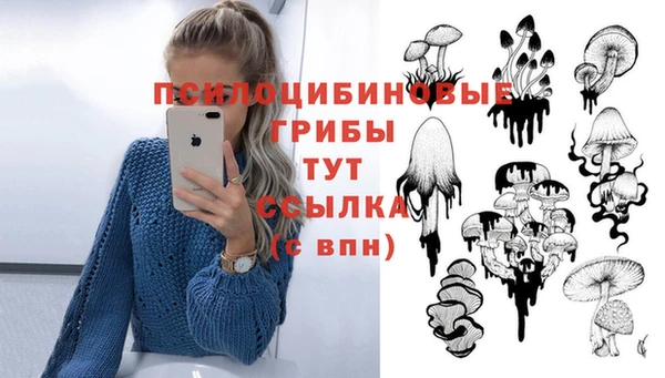 mdpv Богородск