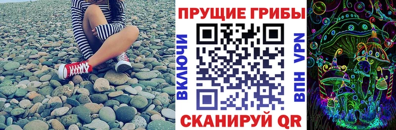 Галлюциногенные грибы мицелий kraken сайт Кедровый