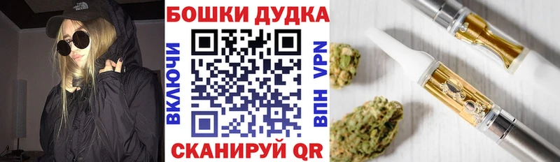 Шишки марихуана Bruce Banner Кедровый
